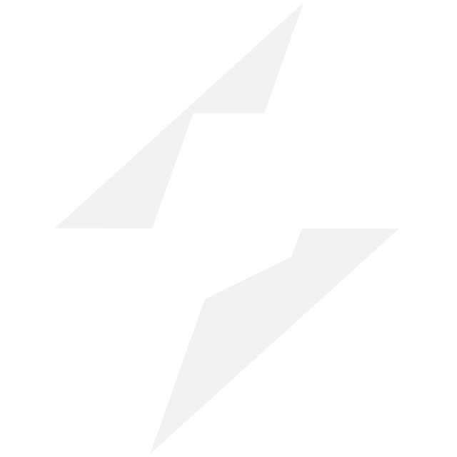 White (Reversed) Logo placeholder